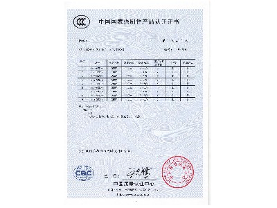 China Compulsory Product Certification Certificate (Appendix)